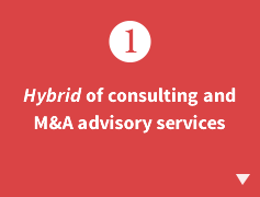 Hybrid of consulting and M&A advisory services