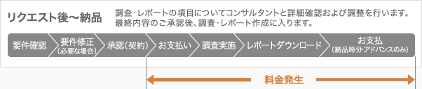リクエスト後～納品：調査・レポートの項目についてコンサルタントと詳細確認および調整を行います。最終内容のご承認後、調査・レポート作成に入ります。