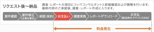 リクエスト後～納品：調査・レポートの項目についてコンサルタントと詳細確認および調整を行います。最終内容のご承認後、調査・レポート作成に入ります。